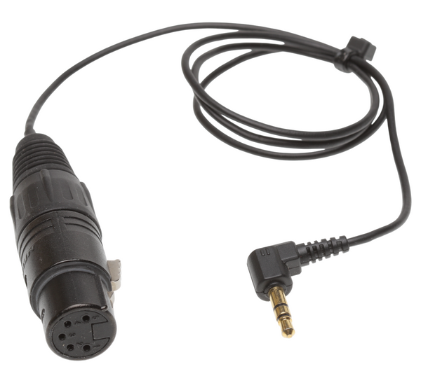 Short XLR Stereo Breakout Cable 5 Pin to 3.5mm Stereo for Audio-Technica AT825 [Used]-www.prostudioconnection.com
