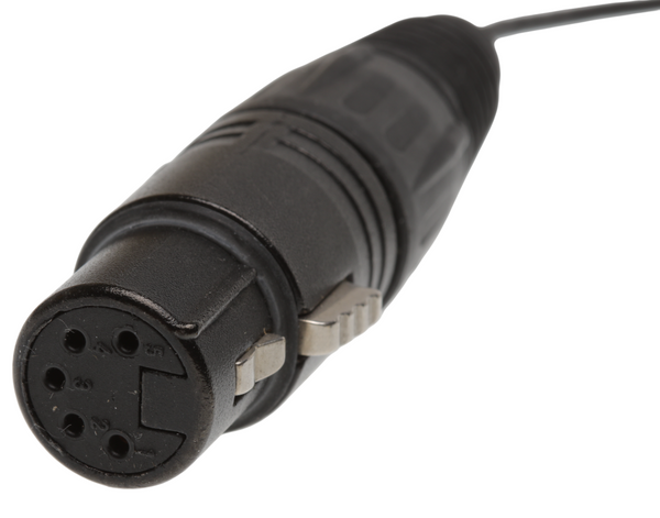 Short XLR Stereo Breakout Cable 5 Pin to 3.5mm Stereo for Audio-Technica AT825 [Used]-www.prostudioconnection.com